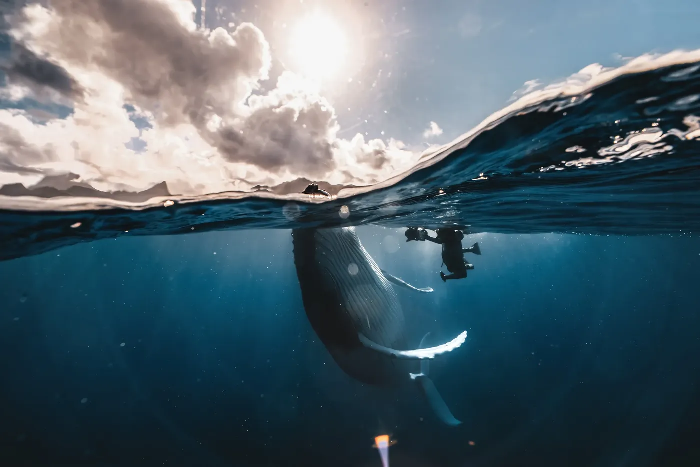 Mo'orea 2027 expedition